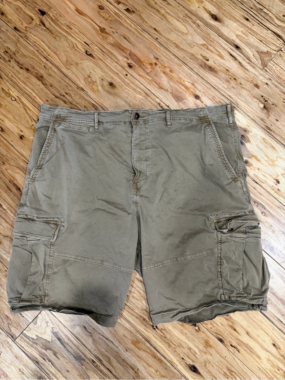 American Eagle Outfitters Dark Khaki Cargo Shorts